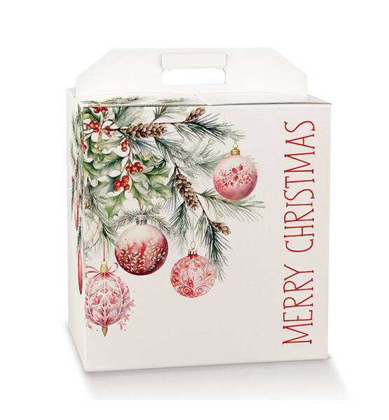 ADDOBBI DI NATALE 430X240X345 PANETTONE + BOTTIGLIA