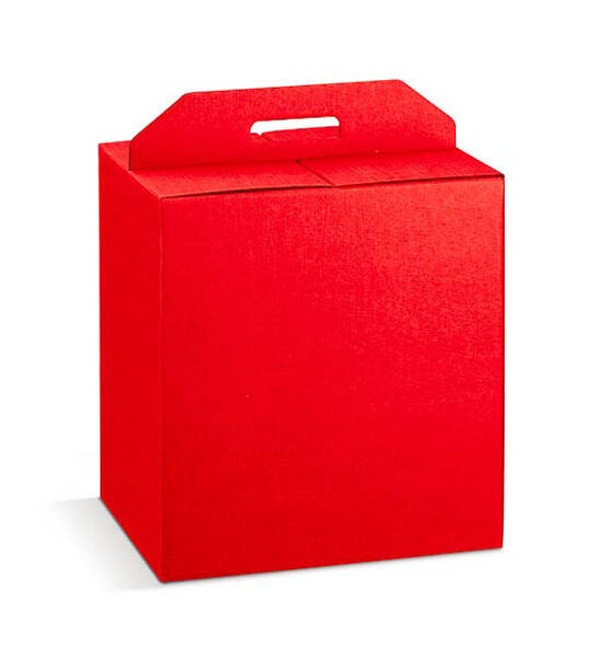 PANETTONE + BOTTIGLIA 520X310X355