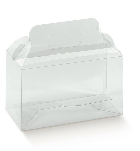 VALIGETTA TRASPARENTE 270X90X100 PZ 10 CON DIVISORIO