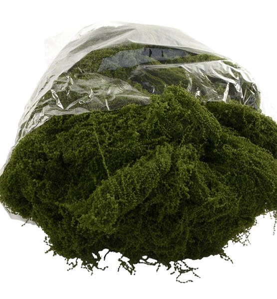 MUSCHIO 500 GR VERDE SCURO IN BUSTA
