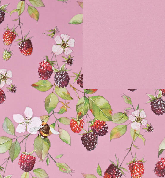 ROTOLO CARTOPACK H 100 X MT 25 BERRIES ROSA