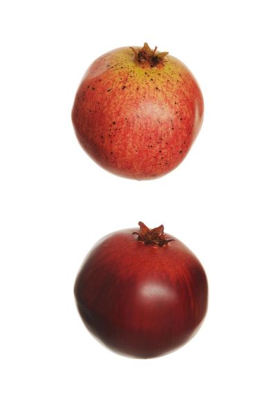 REAL FEELING MELOGRANO FRUTTA 8.5X8.5 CM 6 PZ