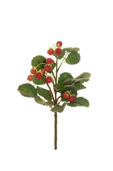 BUSH LAMPONE CON 12 FRUTTI 31.5 CM