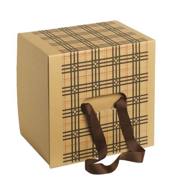 SCATOLA TORRE 24XX25X35 AVANA SCOT CON MANICI
