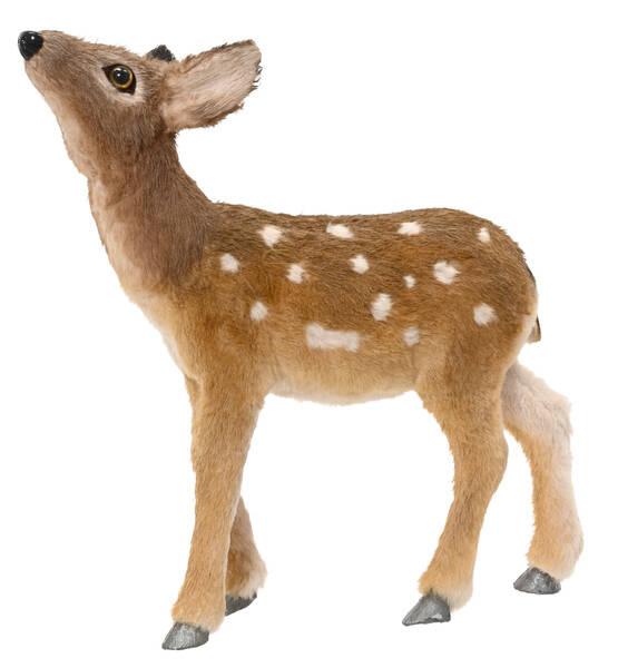 CERVO H34x37x11cm