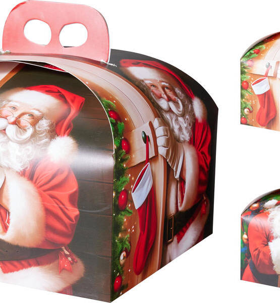 SCATOLA PORTA PANETTONE 49X34,8cm B.NATALE